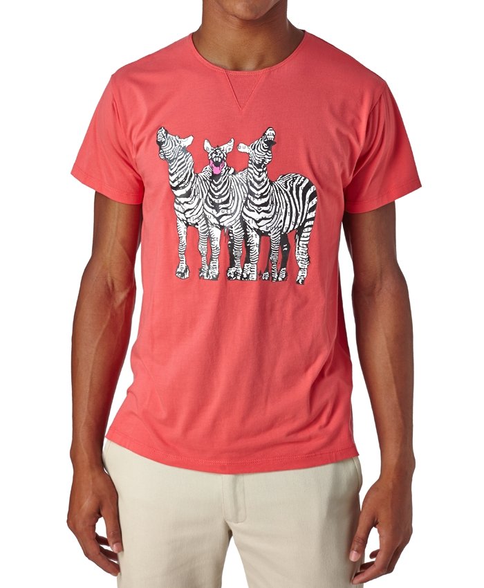 Zebra T-Shirt - bustleclothing.shop